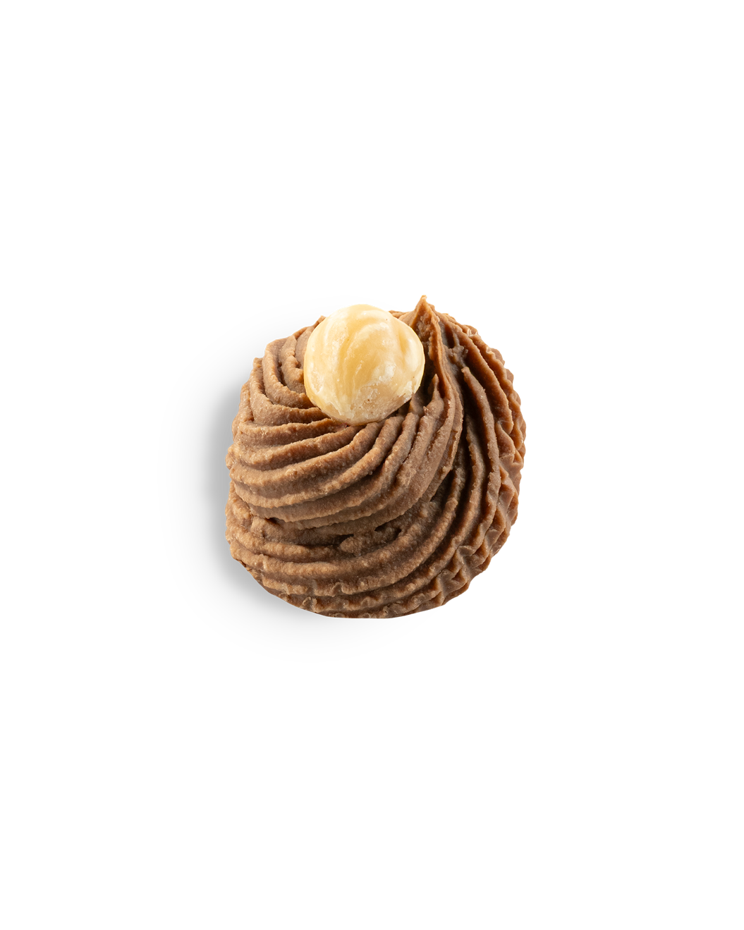 Dressé Noisette